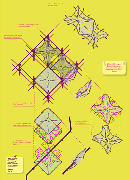 Materializing Transition