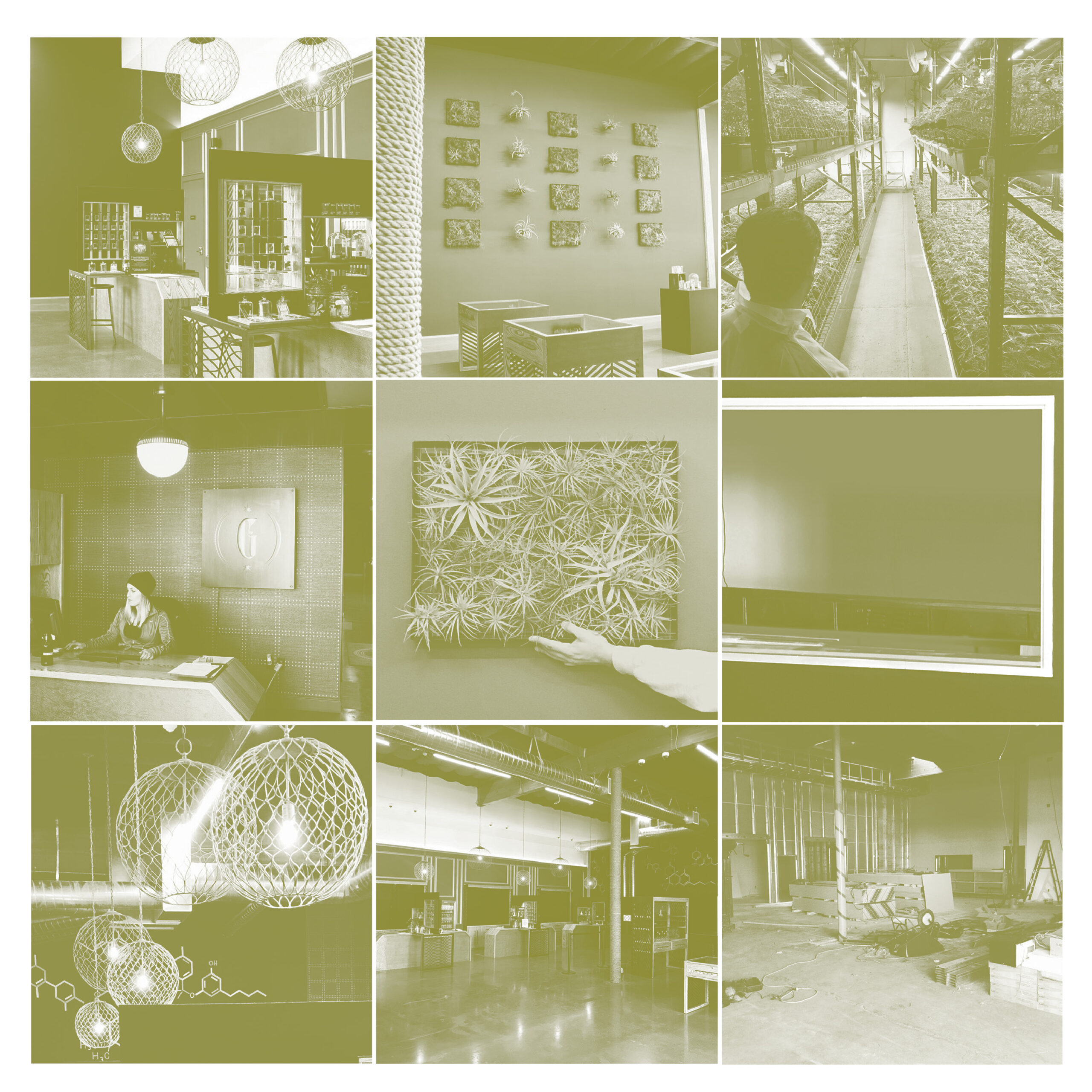 New Typologies